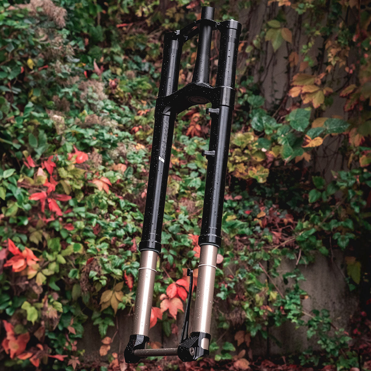 Intend Original series forks
