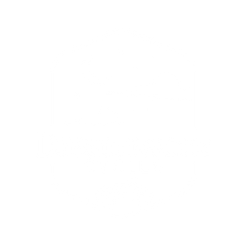 Dreamworx Cycles 